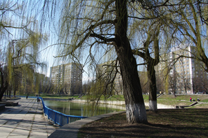  Киев Виноградарь парк Голубое озеро