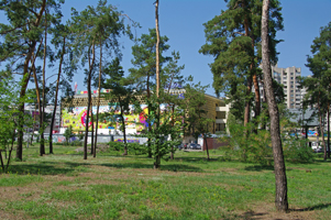  парк ім Андрія Малишка (фото 2017р. )