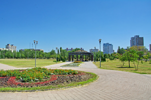 Киев, парк Деснянський   (фото 2018р.)