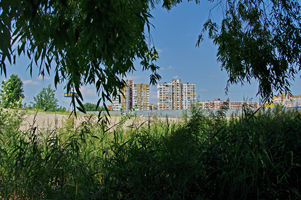 Киев,  среднее Выгуровское  озеро  (фото 2018р.)