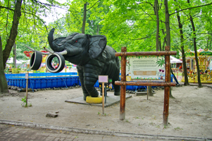    Киевский зоопарк фото, 2019г.