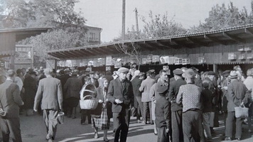  Киев Птичий ринок  ( фото 1963) 