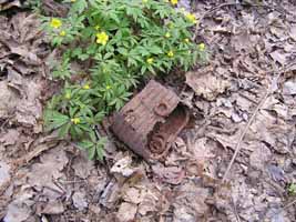  Збільшити...(фото 2007р.)