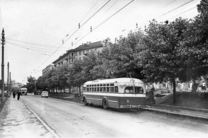  сквер архівне фото 1960-х